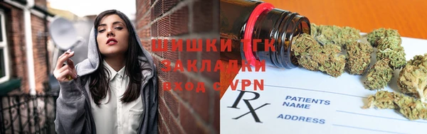 дурь Краснослободск