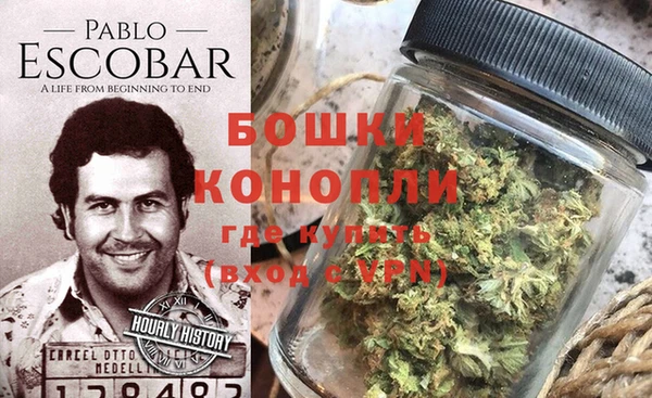 дурь Краснослободск